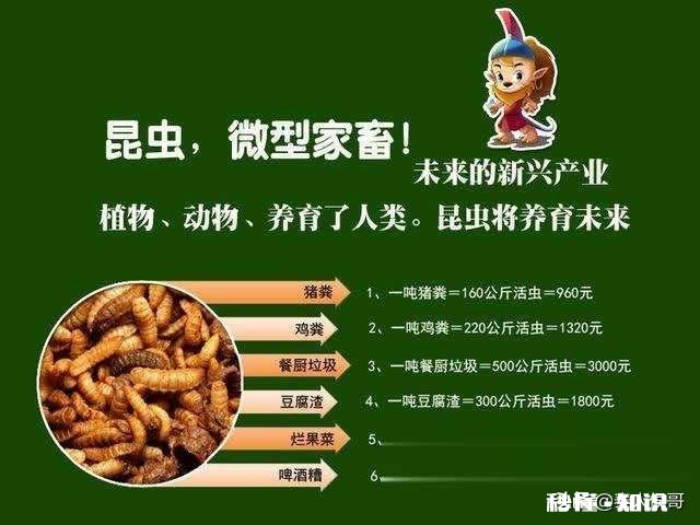 现在开养鸡场还有机会吗做农家乐那种