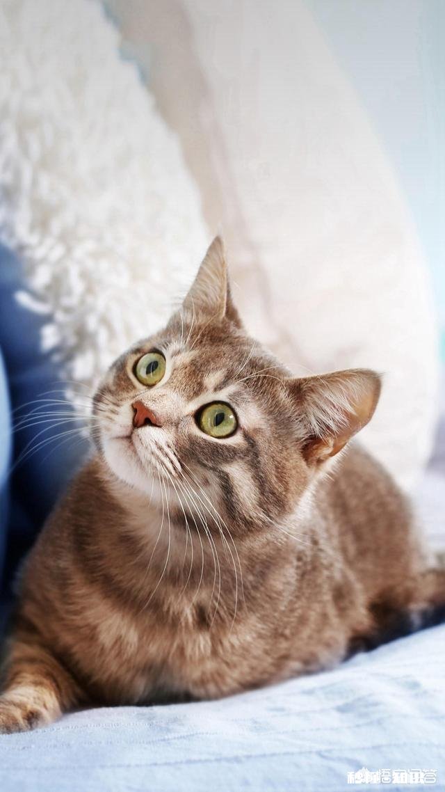 和一个护士相亲，约会的时候停车费，饭钱她都抢着付啥意思