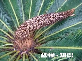 经历过疫情，最深的感悟就是赚钱！赚钱！该怎么赚钱呢