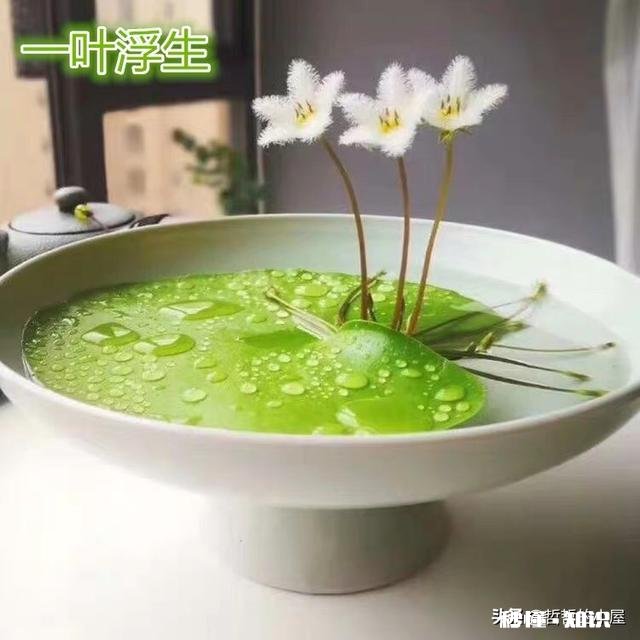 你的大学舍友现在都在干什么你怎么看