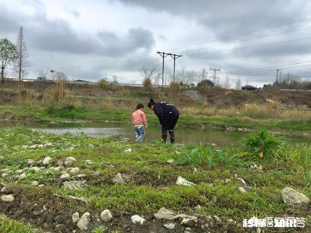 7、8岁的孩子怎样接触电子产品才算合理