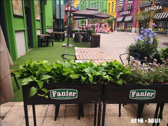 为什么很多女人不爱自己老公，但是还是拖着不肯离婚