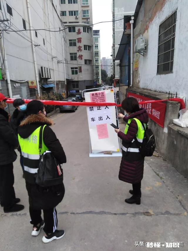 如果湖北解封了，你最想做的第一件事是什么