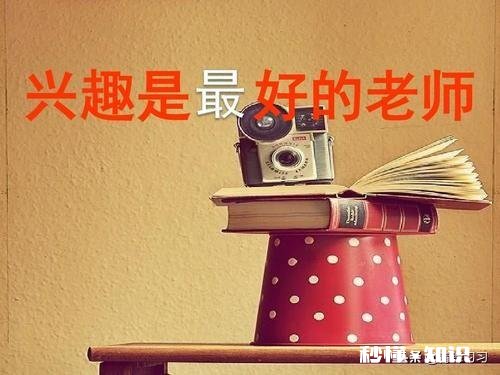 成年人如何选择职业