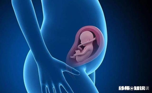 孕期前3个月能干体力活吗