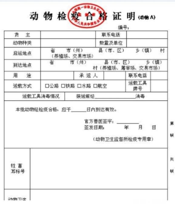 当前从外地新购进仔猪，需要哪些手续