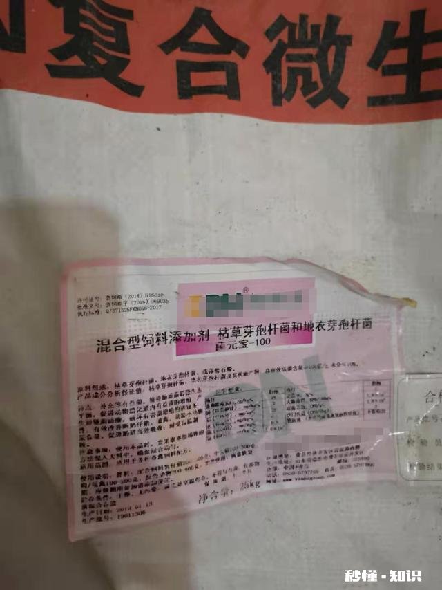 当前从外地新购进仔猪，需要哪些手续