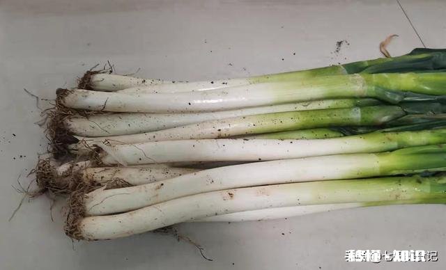 有人说一边是水果库里坏，蔬菜地里烂，一边价飞天，这是为什么