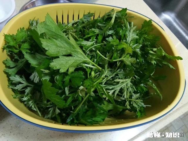 附地区 清明时节，能晒一下你包的清明粿吗，各地都有啥不同