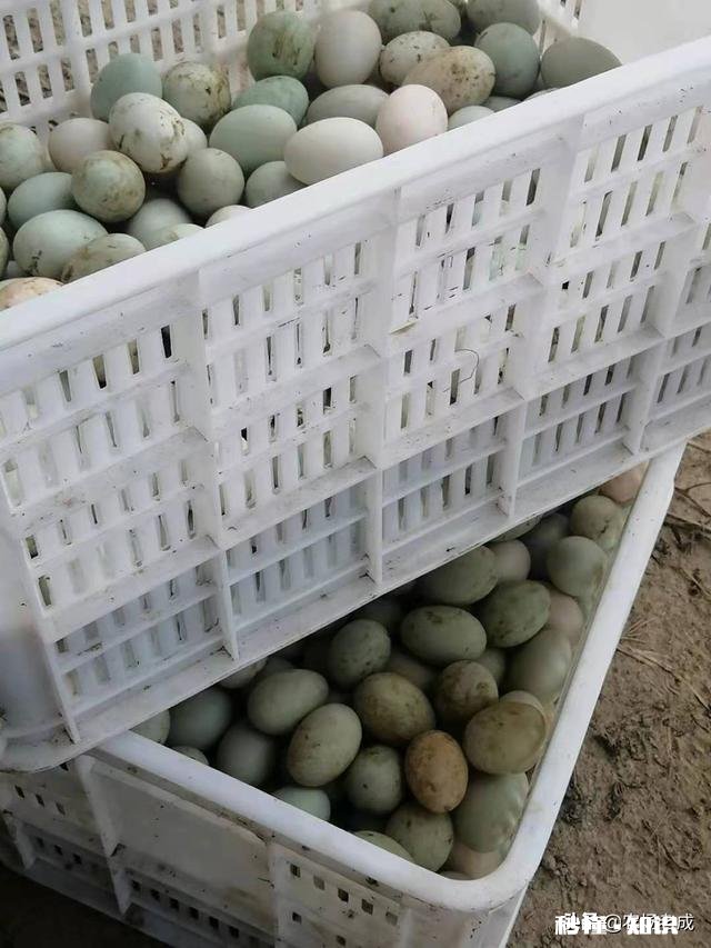 发展农村电商，需要准确处理好哪几个关系