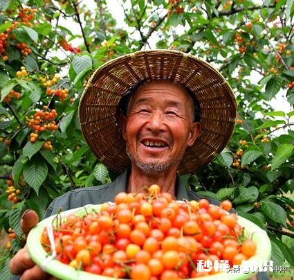 发展农村电商，需要准确处理好哪几个关系