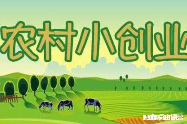 返乡农民工创业，经常会遇到哪些方面的困难