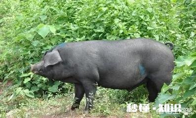 返乡农民工创业，经常会遇到哪些方面的困难