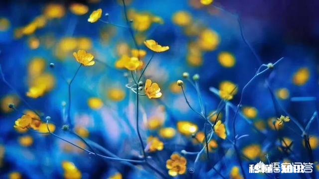 为什么有些年轻人不喜欢玉石