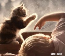 三岁宝宝不肯接受新事物，总哭哭啼啼，是自闭症吗