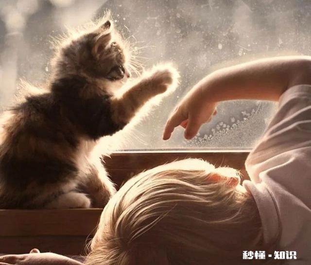 三岁宝宝不肯接受新事物，总哭哭啼啼，是自闭症吗