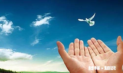 人生理想和绝美爱情二选一，你会选择什么