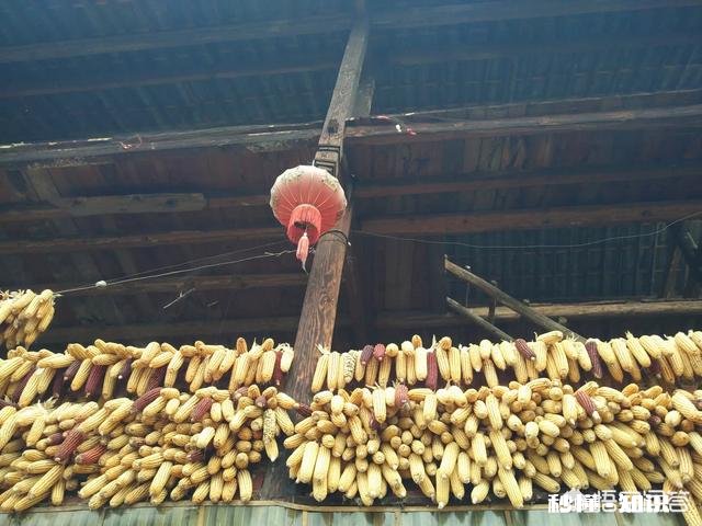 能对过往自己去过的一些旅游景区排名吗根据是什么自驾游经历优先点赞