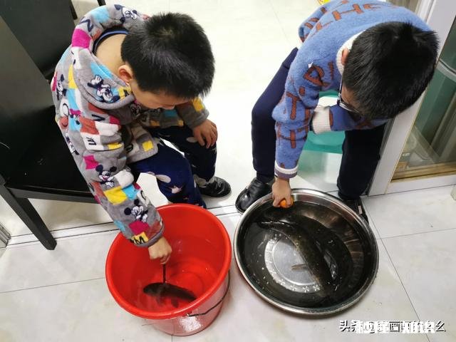 疫情结束后，请问你愿意去实体店消费还是继续网购