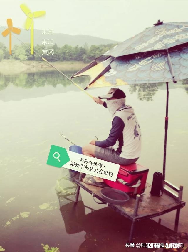 果香味饵料是甜的吗