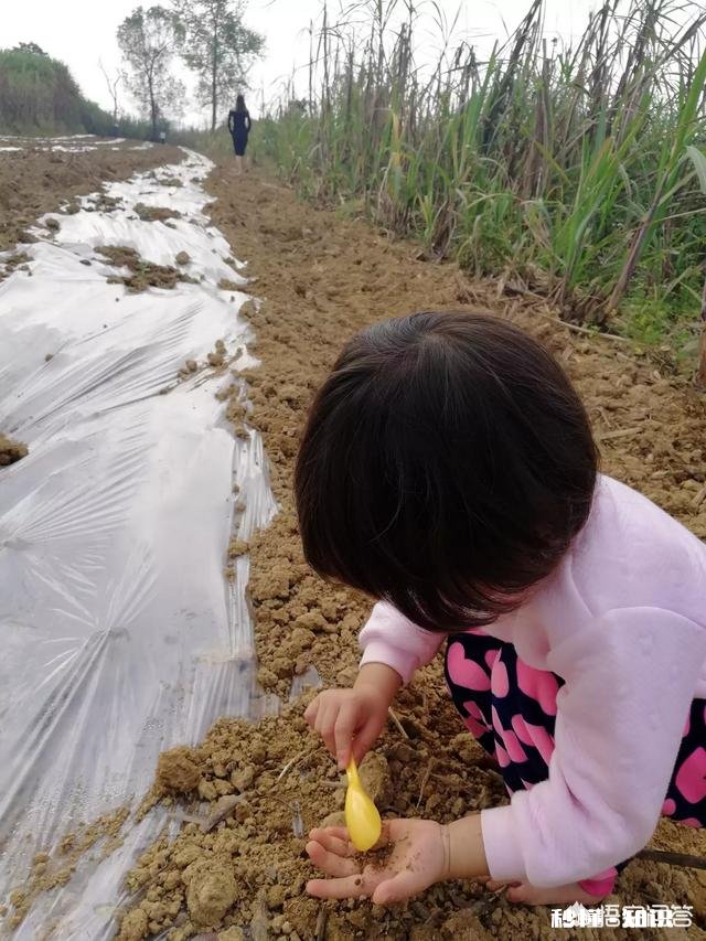 如何看待愿意花一千元给孩子拍照片,而不愿意给孩子买奶粉的人