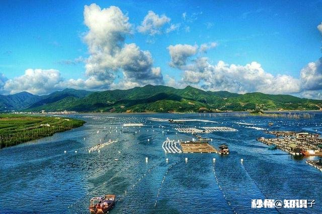 今年鱼价会大涨吗