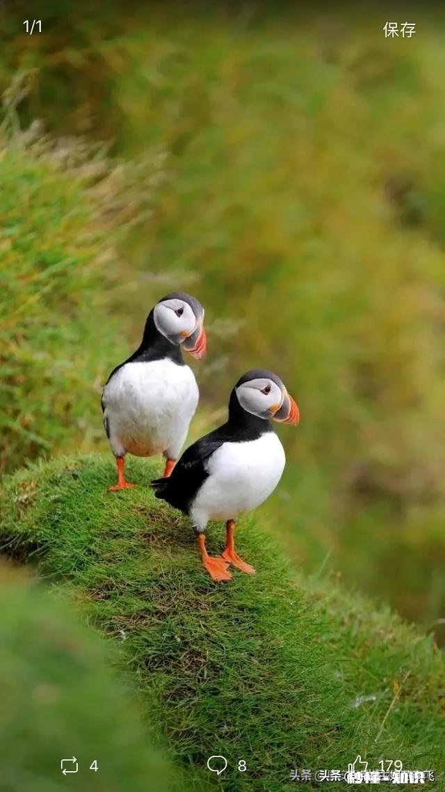 特朗普认为4月底能够控制役情，你如何看