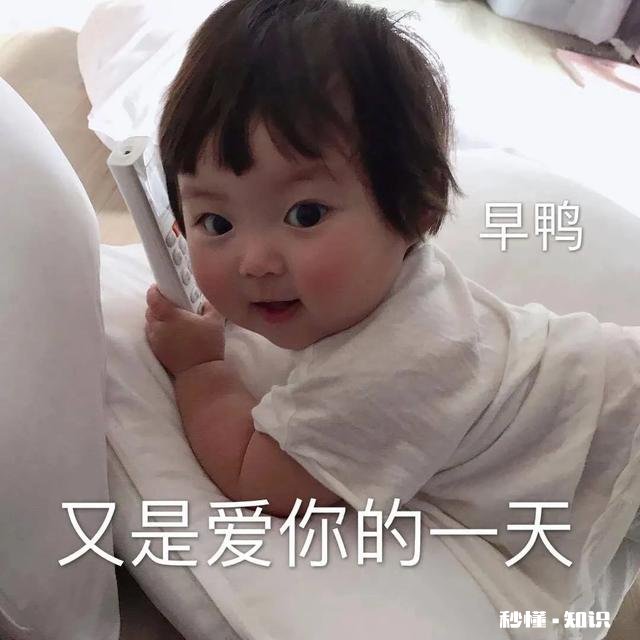 有没有可爱表情包推荐