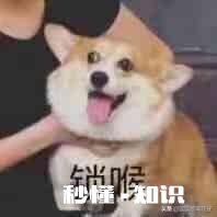 有没有可爱表情包推荐