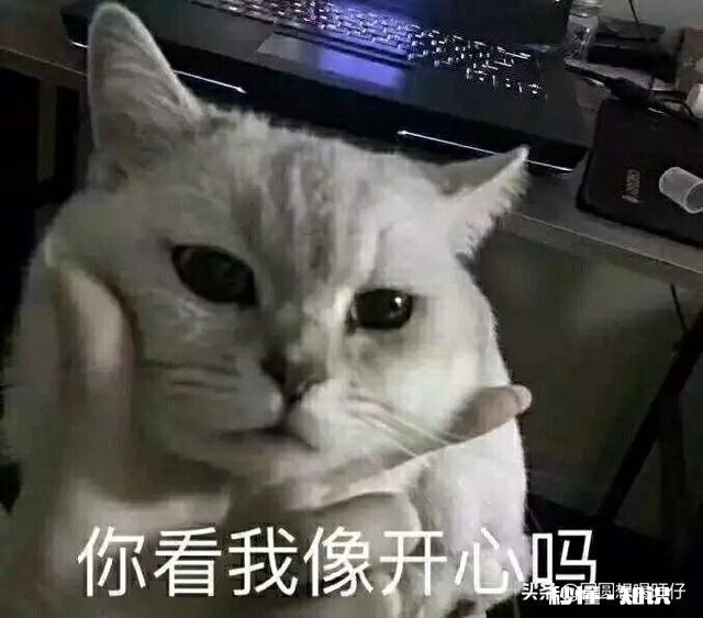 有没有可爱表情包推荐