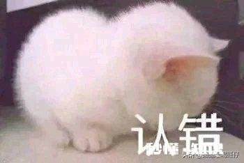 有没有可爱表情包推荐