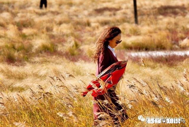 为什么草原是一个童话世界