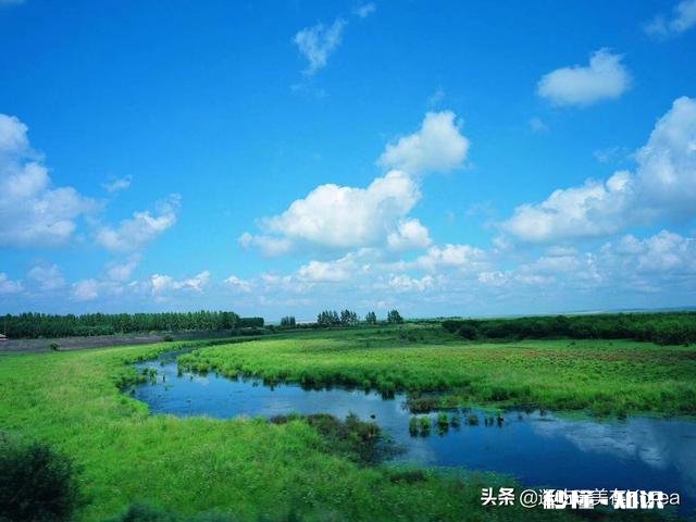 为什么草原是一个童话世界