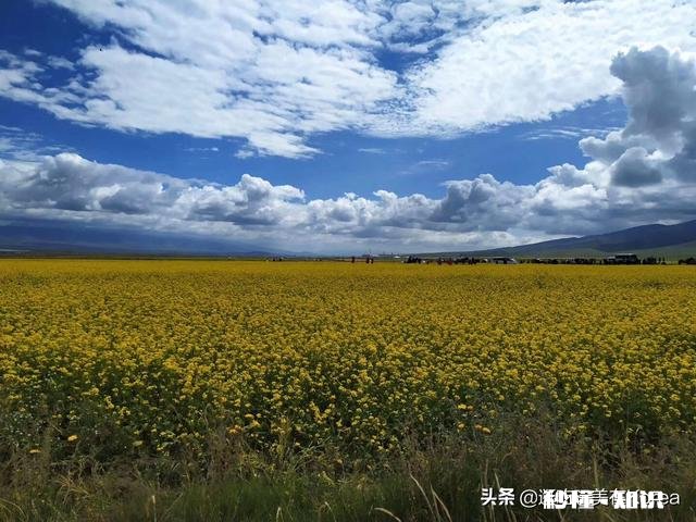 为什么草原是一个童话世界