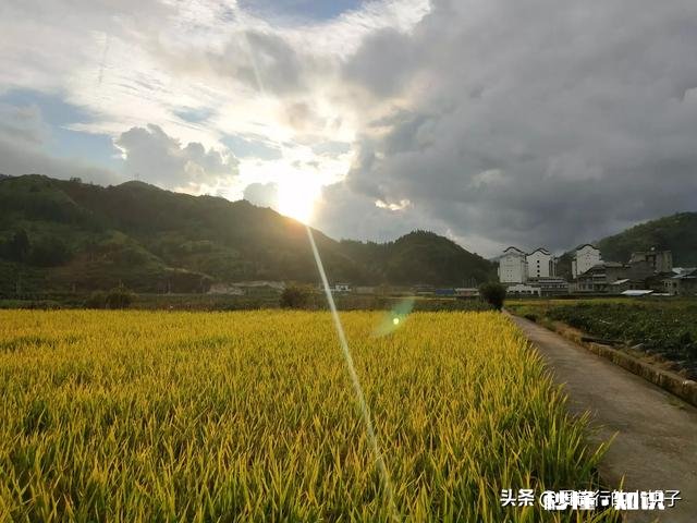 为什么草原是一个童话世界