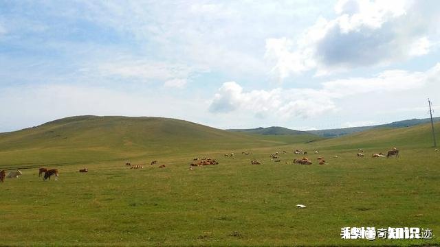 为什么草原是一个童话世界