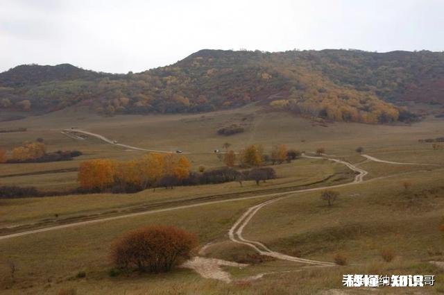 为什么草原是一个童话世界