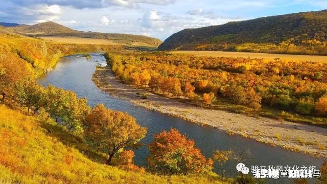 为什么草原是一个童话世界