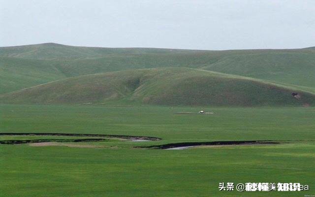 为什么草原是一个童话世界