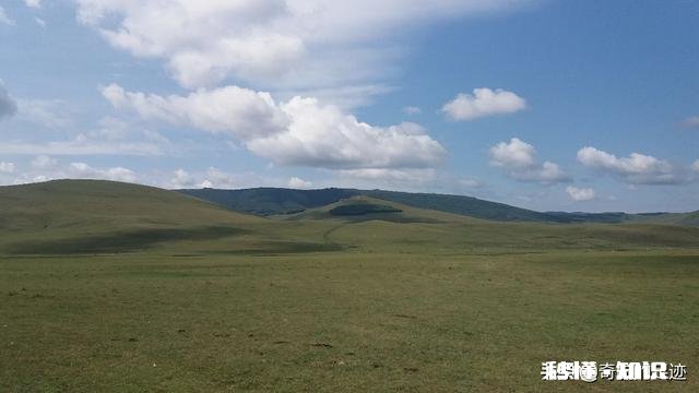 为什么草原是一个童话世界