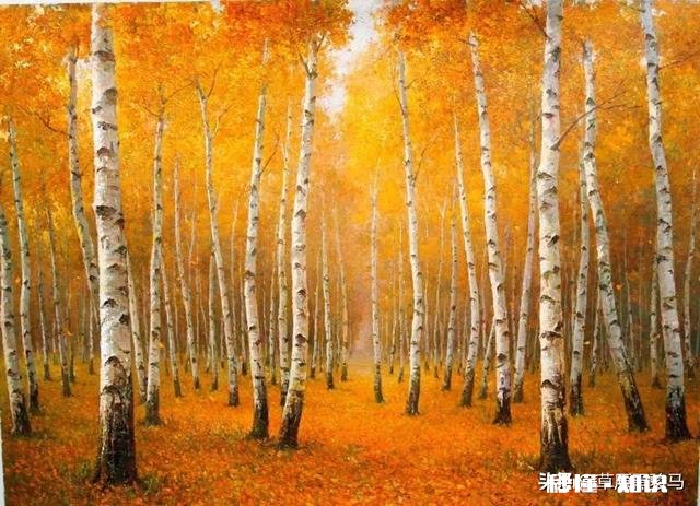 为什么草原是一个童话世界