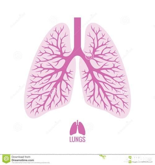 为什么有些宝宝很小就得了肺炎