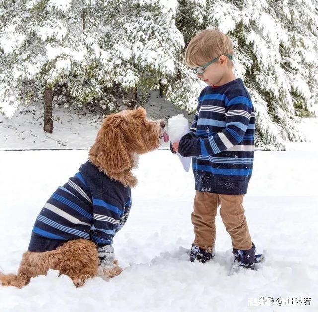 3个月的宝宝睡整夜觉正常吗