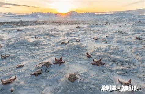 世界上哪块大陆的土地最贫瘠原因说一下谢谢哒