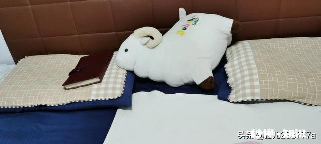 什么样的人生，才算不枉此生