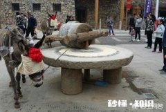 保定的太行水镇有哪些特色体验项目