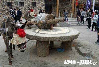 保定的太行水镇有哪些特色体验项目