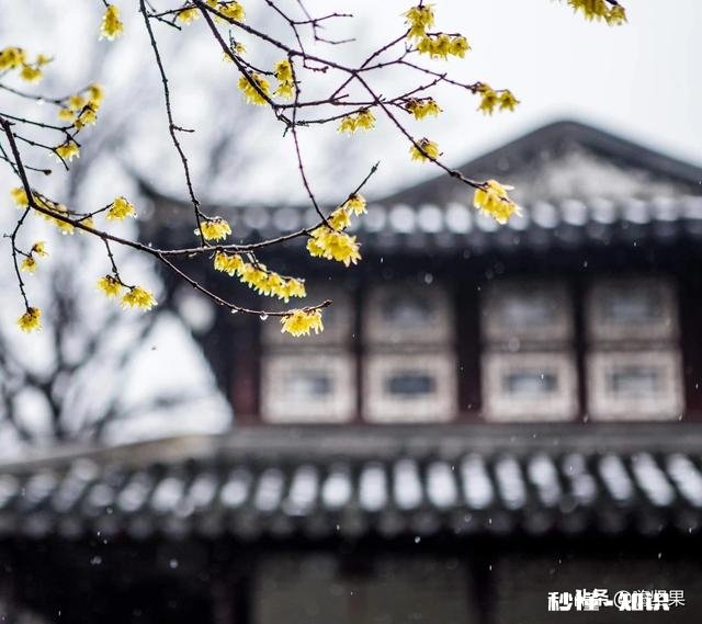 2020年小公寓适合投资吗