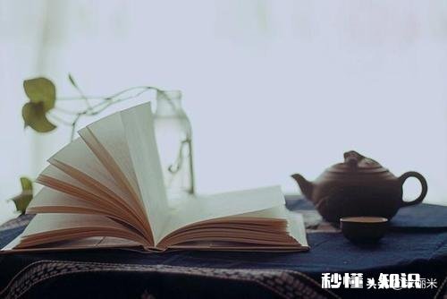 要读哪些书来重拾对阅读的兴趣