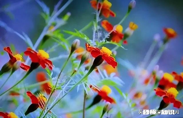 要读哪些书来重拾对阅读的兴趣